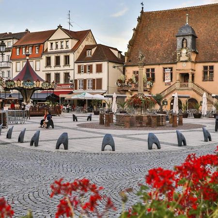 Studio Cosy A Molsheim Calme, Centre-Ville Et Acces Strasbourg エクステリア 写真